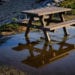 Picnic bench in puddle